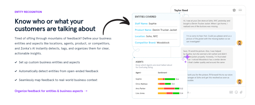 zonka feedback Entity Recognition