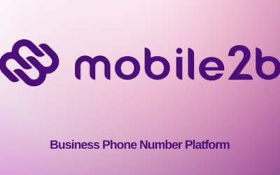 Mobile2b Review: The Best BPM for You in 2025?