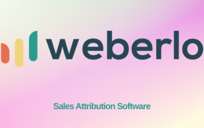 Weberlo Review: The Best ROI Tool in 2025?