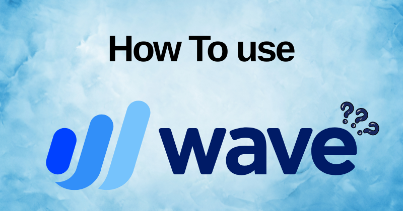 How to Use Wave: A Step-By-Step Guideline in 2025