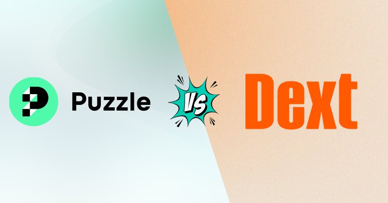 Puzzle IO vs Dext