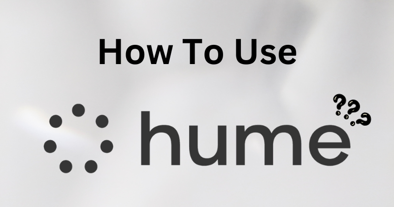 How to Use Hume AI