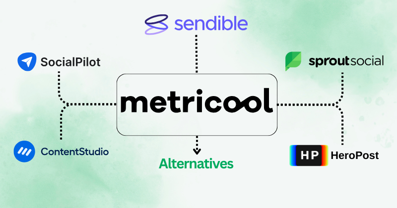 metricool alternatives