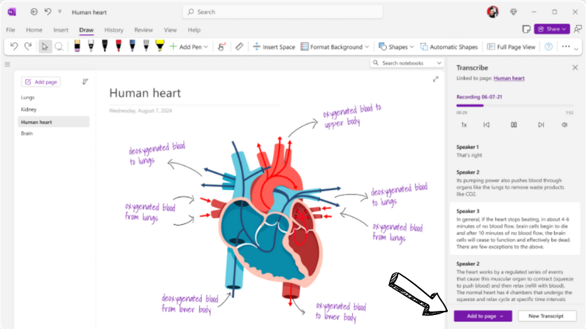 Microsoft OneNote voice transcription