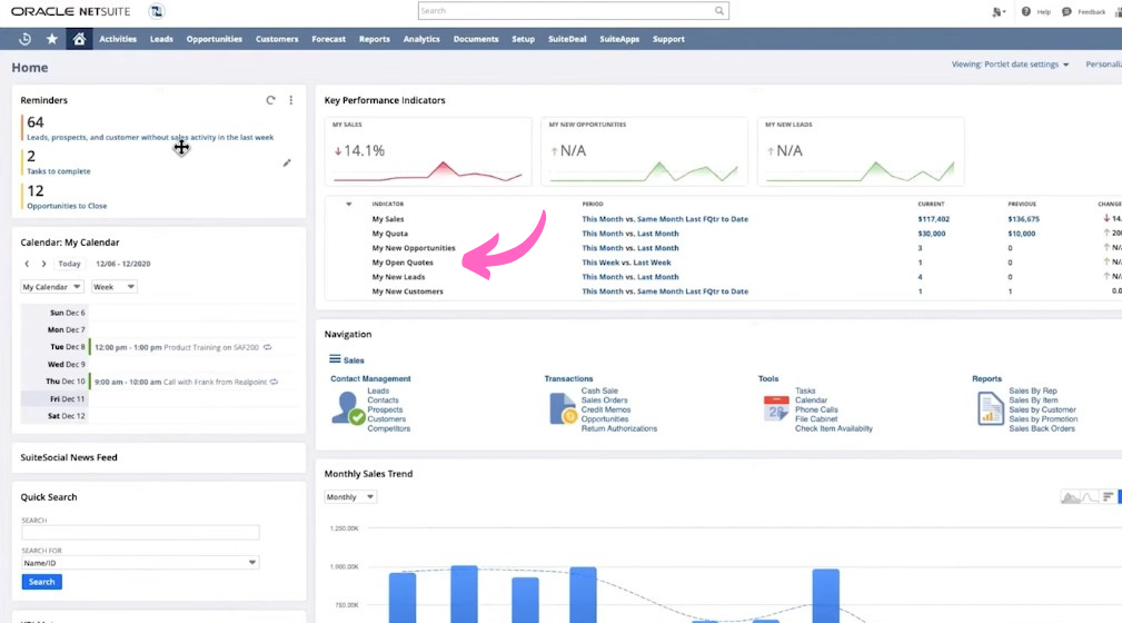Netsuite Performance Indicators