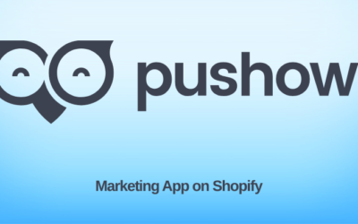 Pushowl Review: Boost Sales with Web Push in 2025?