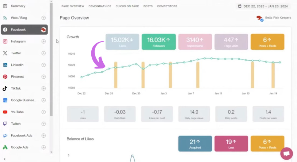 SocialBee Detailed Analytics