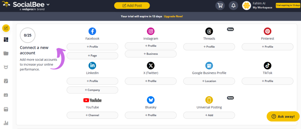 SocialBee Personal Experience