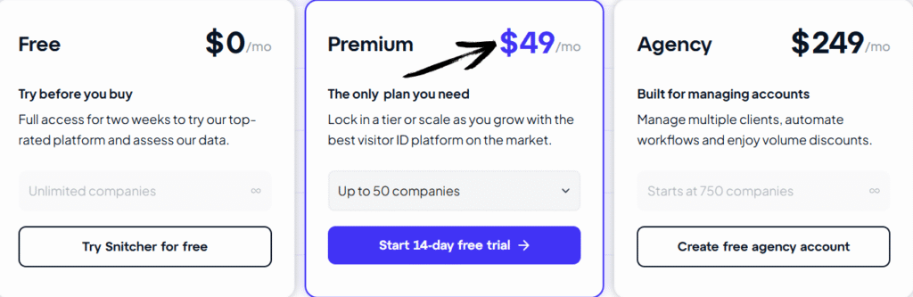 snither pricing