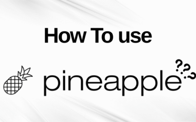 How to Use Pineapple Builder: Step-by-Step Guideline in 2025