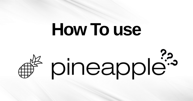 How to Use Pineapple Builder: Step-by-Step Guideline in 2025 1 How to Use Pineapple Builder