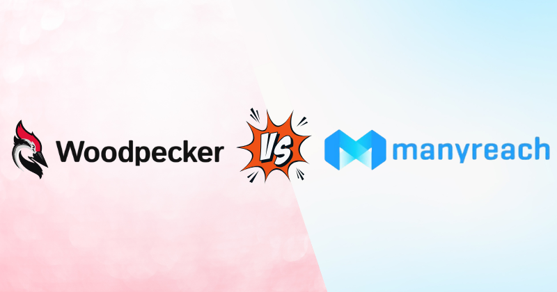 Woodpecker vs Manyreach