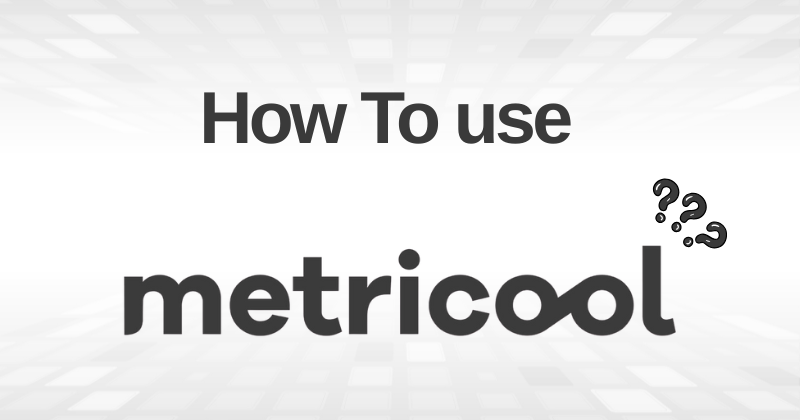 How to Use Metricool