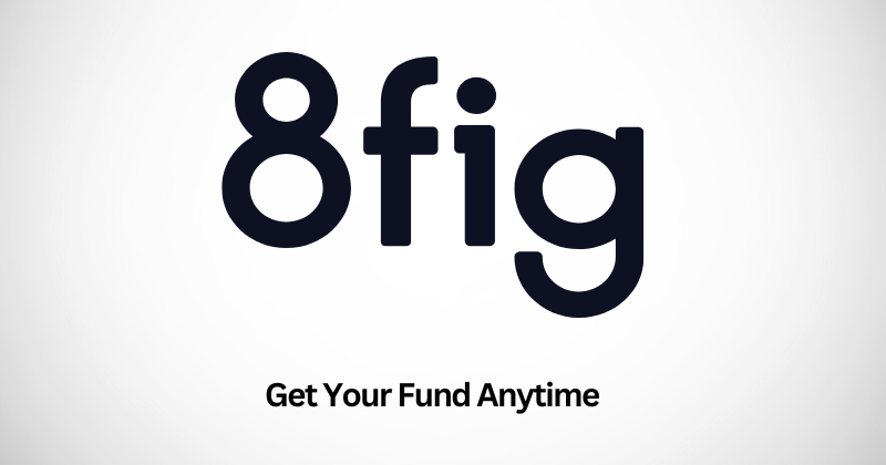 8fig Review: E-commerce Growth & Funding Solutions in 2025 1 8fig