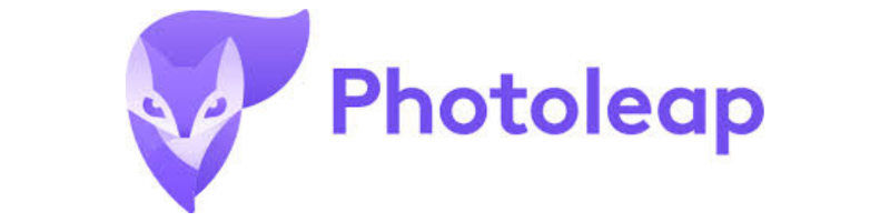 Canva vs PhotoLeap: Which Design Tool Reigns Supreme in 2025? 1 Best section img 1 4