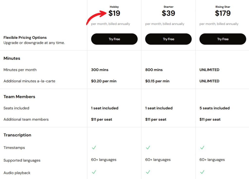Castmagic pricing