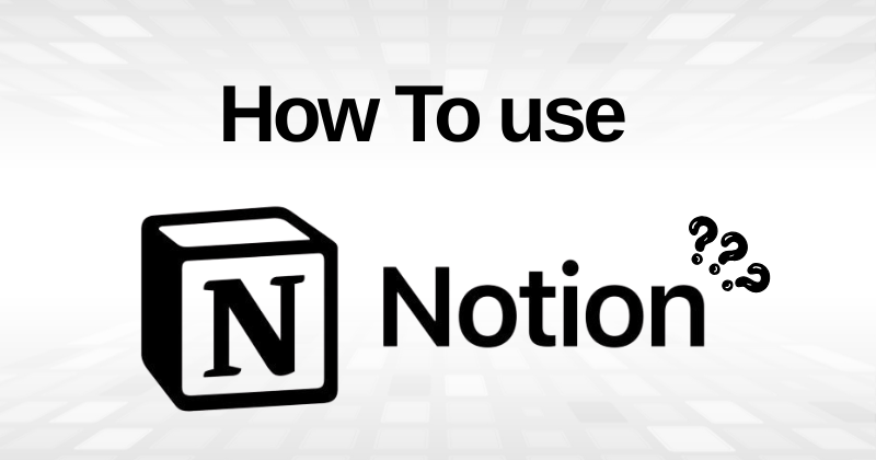 How to Use Notion