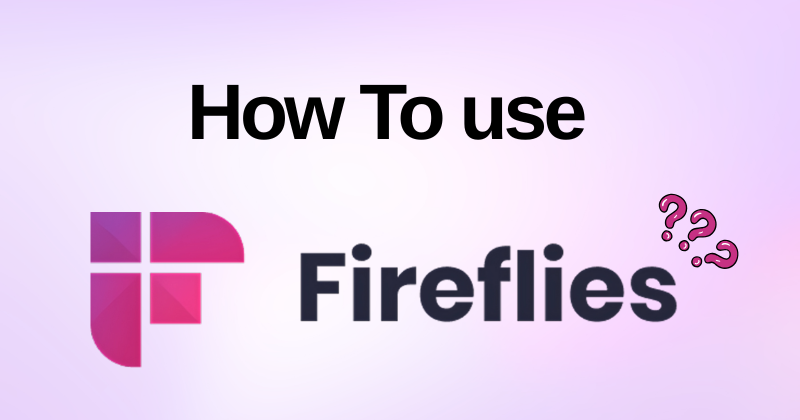 How to Use Fireflies: A Quick Start Guideline in 2025 1 How to Use Fireflies