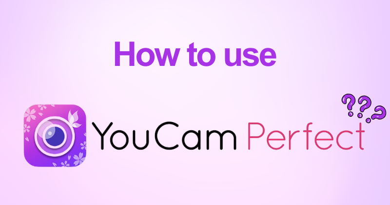 How to Use YouCam Perfect for Stunning Photo Edits in 2026 17 Cómo usar YouCam Perfect