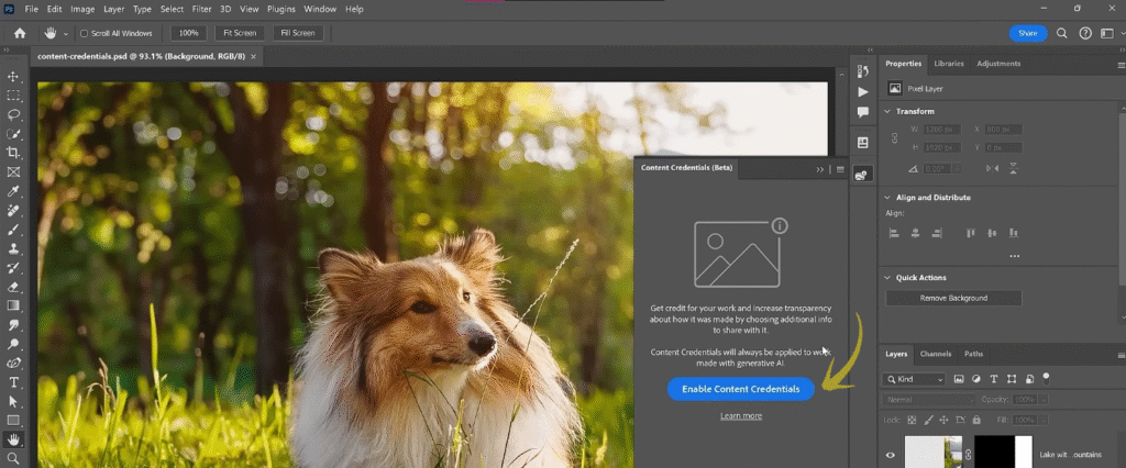 Photoshop Content Credentials