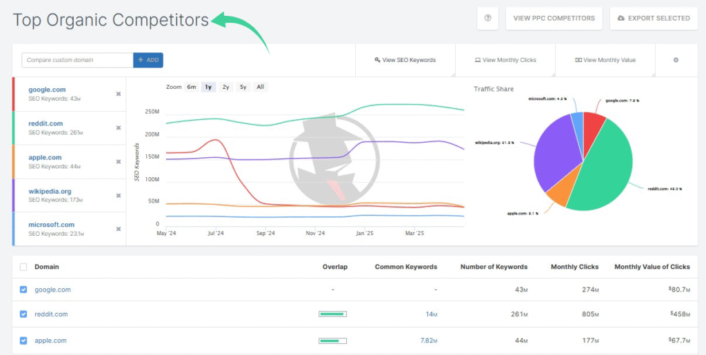 Spyfu Competitor Analysis