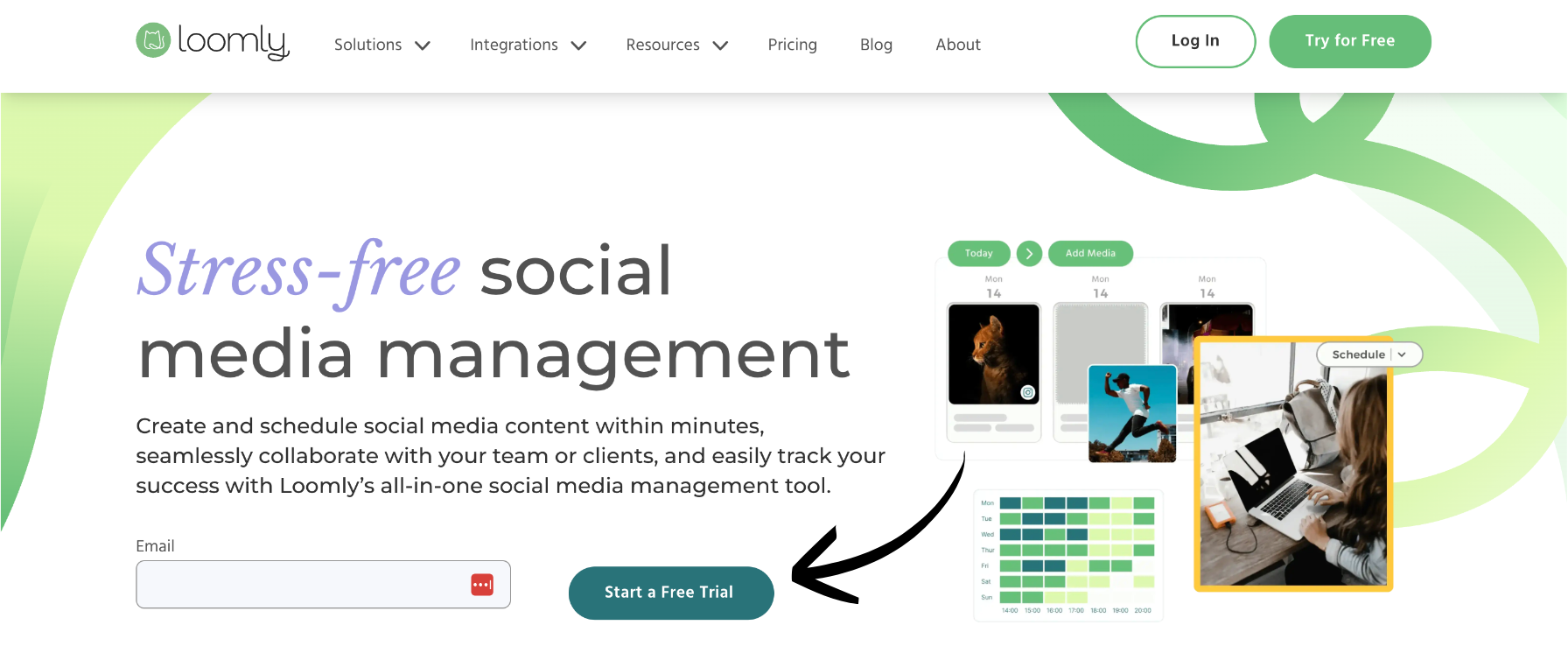 loomly homepage