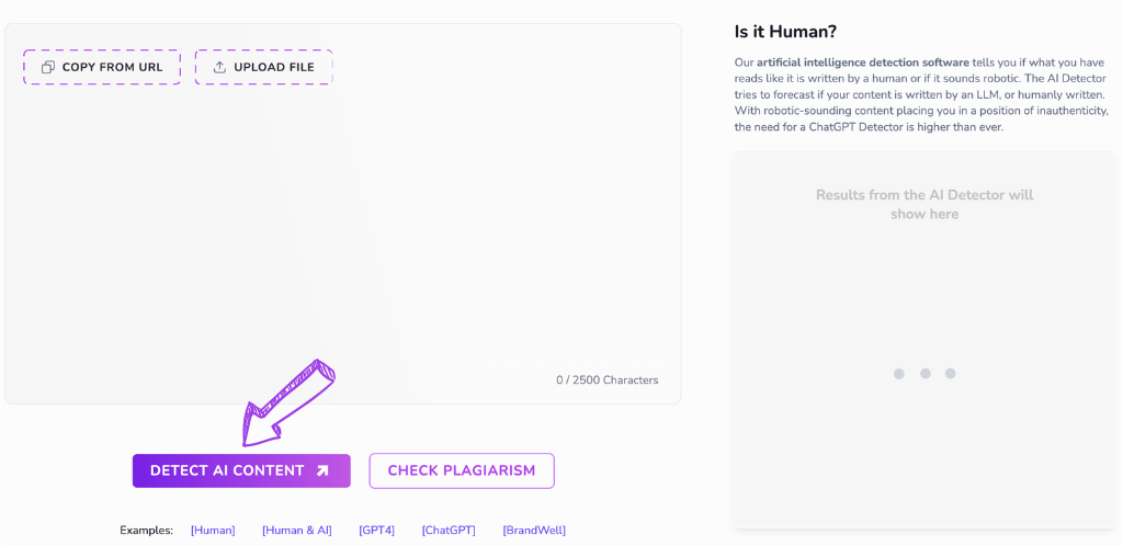 writewell Plagiarism Checker