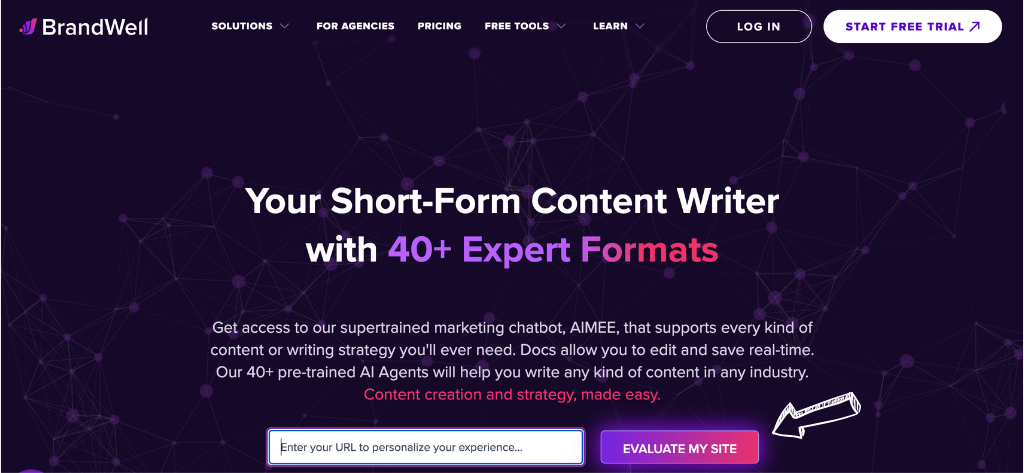writewell homepage