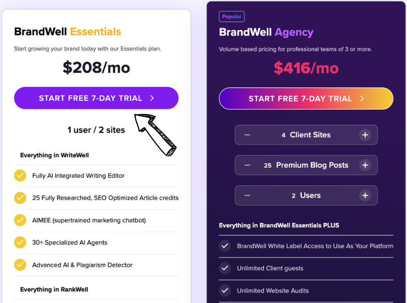 writewell pricing