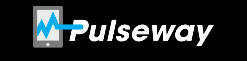 Atera vs Pulseway: The Best IT Solutions in 2025 2 Pulseway