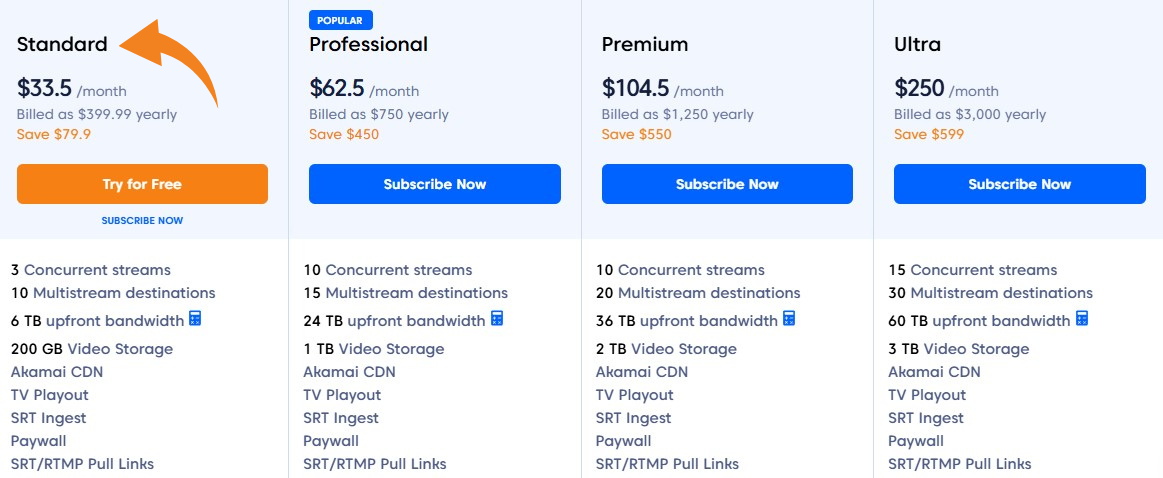 Castr Pricing