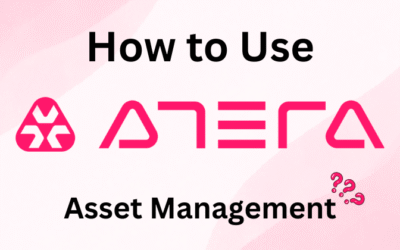 How to Use Atera Asset Management in 2025