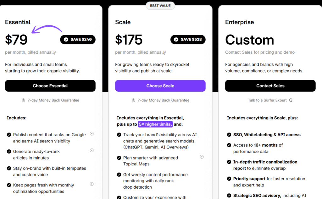 surfer pricing