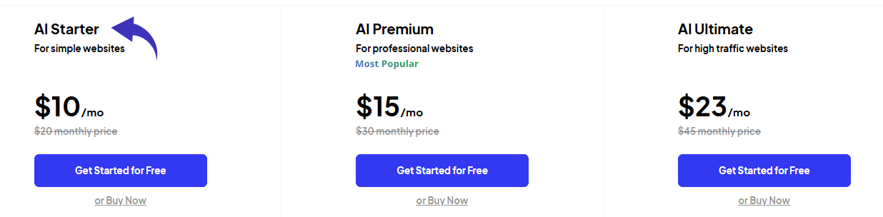 10web Pricing