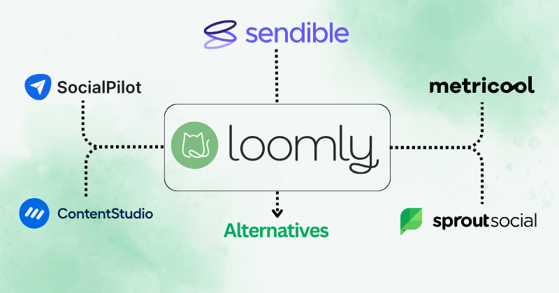 loomly alternatives