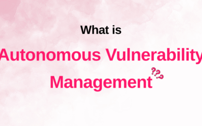 What is Autonomous Vulnerability Management?