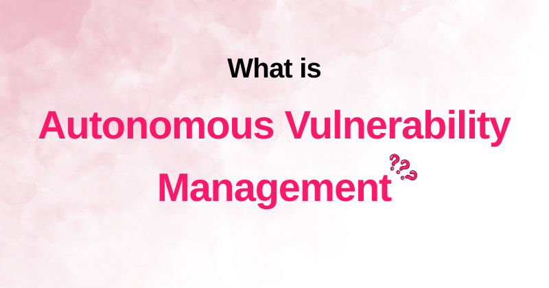 autonomous vulnerability management