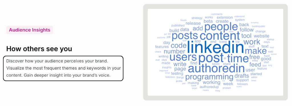 AuthoredUp Review: Ultimate LinkedIn Content Creation in 2025 5 AuthoredUp audience insight