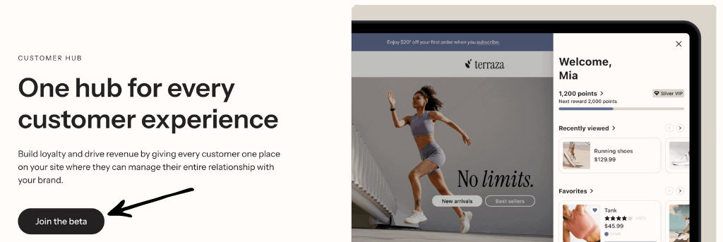 Klaviyo Review: The Best AI Marketing Platform in 2025? 5 Klaviyo Customer Hub
