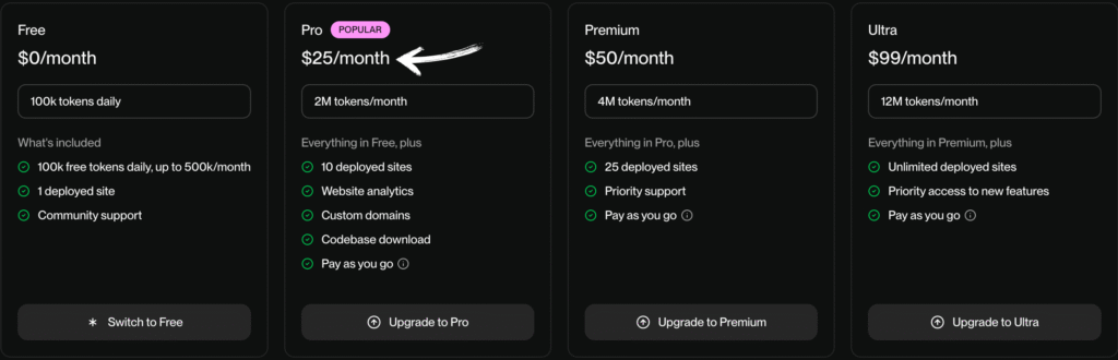 Orchids AI 评测:2025 年最佳 AI 全栈工程师?7 你有兰花吗?