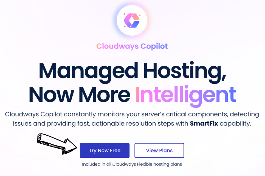 Cloudways AI Copilot