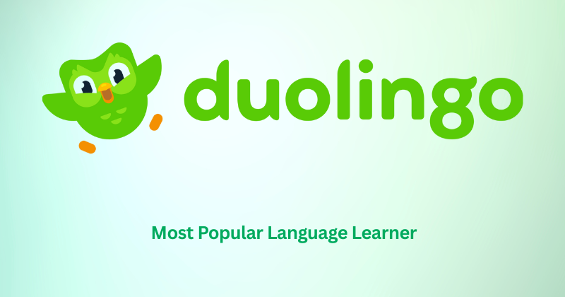 Duolingo Review: Most Popular Language Learner in 2025 33 Duolingo logo