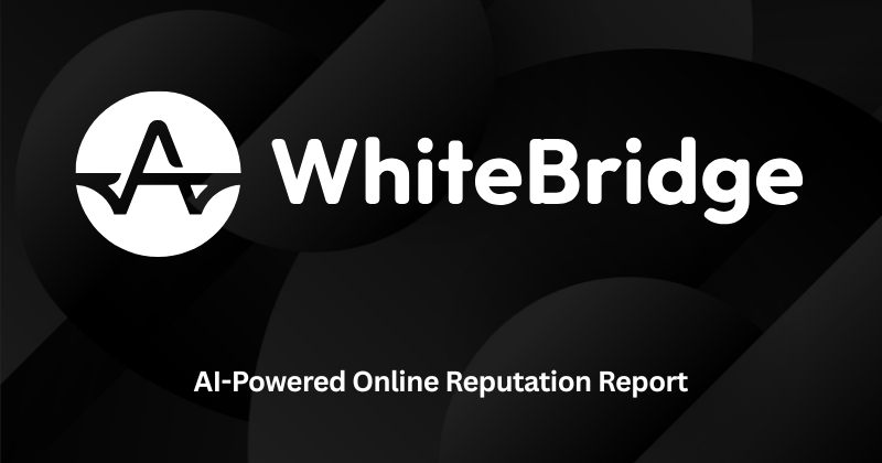 WhiteBridge AI Review: Best Reputation Management Tool in 2025? 1 Whitebridge ai