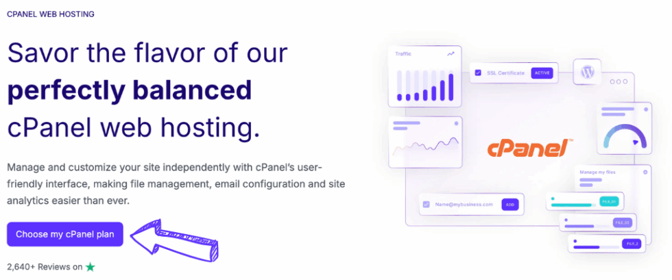 Mochahost cPanel Web Hosting Image