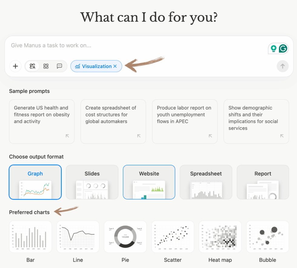 Manus AI Visualization