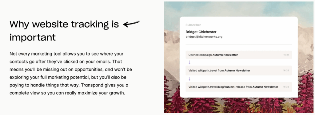 Transpond IO Review: Best AI Marketing Tool in 2025? 12 Transpond
