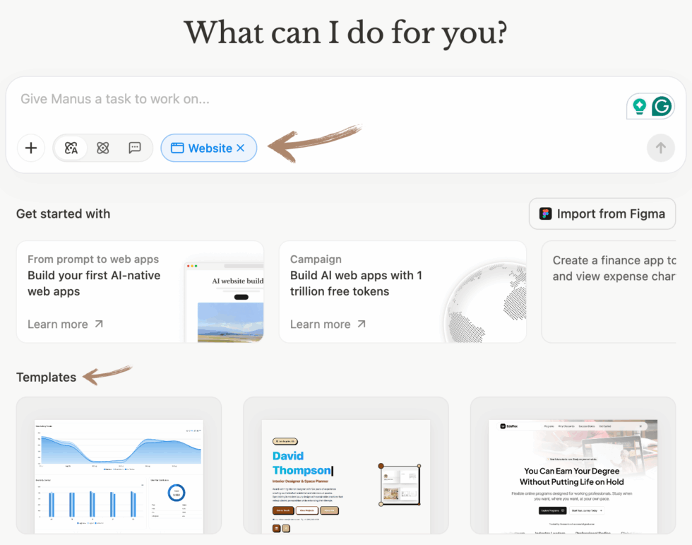 Manus AI Website Generator