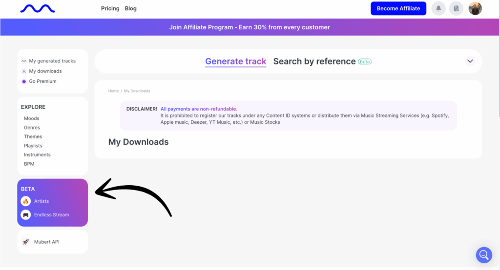 mubert personal experience