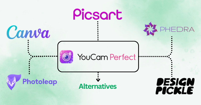 youcam perfect alternatives