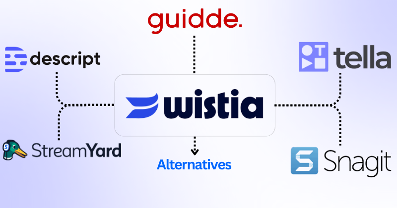 Wistia alternatives